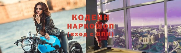 ГАЛЛЮЦИНОГЕННЫЕ ГРИБЫ Корсаков