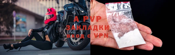 PSILOCYBIN Аркадак