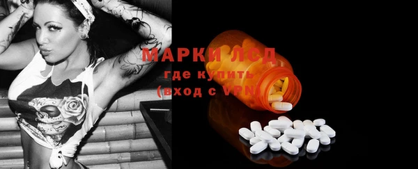 PSILOCYBIN Аркадак