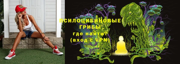 PSILOCYBIN Аркадак