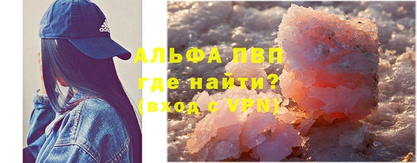 PSILOCYBIN Аркадак