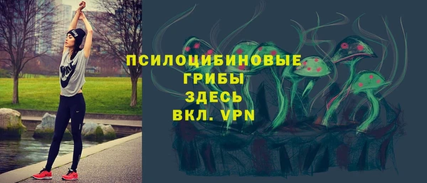 PSILOCYBIN Аркадак